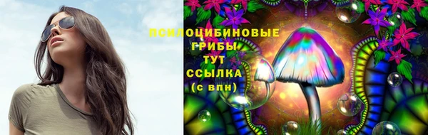 амф Зеленодольск