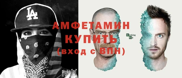 индика Зеленокумск