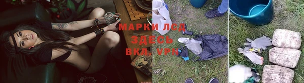 индика Зеленокумск