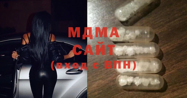 индика Зеленокумск