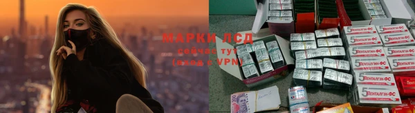 амф Зеленодольск
