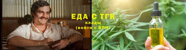 индика Зеленокумск