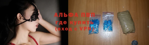 индика Зеленокумск