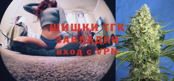 индика Зеленокумск