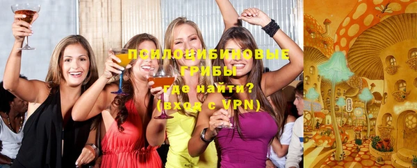 индика Зеленокумск