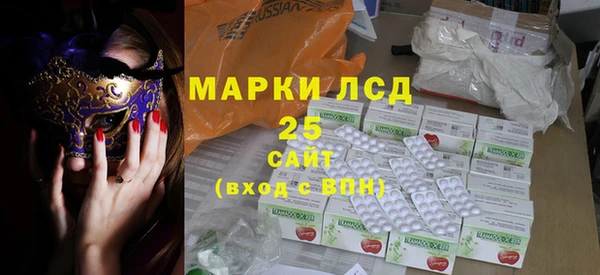 индика Зеленокумск