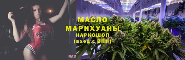 индика Зеленокумск