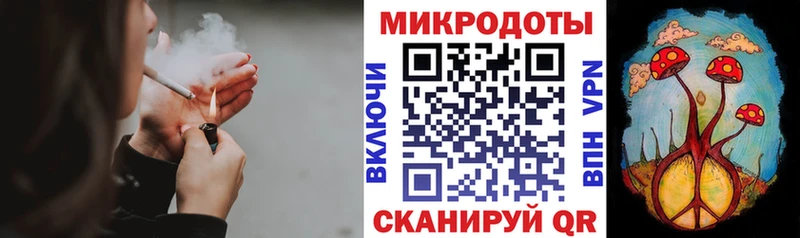 Галлюциногенные грибы MAGIC MUSHROOMS  Купить закладки  Гвардейск 