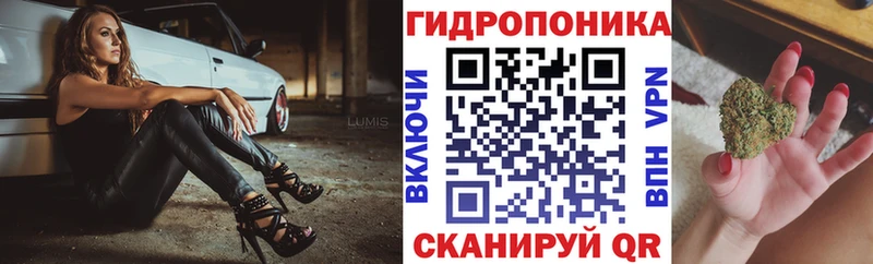 Марихуана конопля  Купить где  Гвардейск 